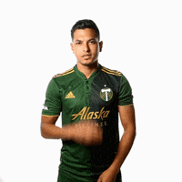 Portland Timbers Sport GIF by Timbers