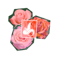 Arctic Fox Roses Sticker by Arctic Fox Hair Color