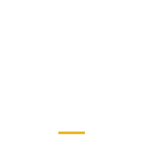 lionsclubs vision lions sight volunteer Sticker