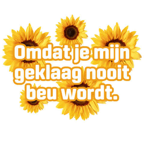 Flowers Plant Sticker by Groen van bij ons