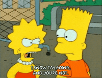 Season 1 GIF by The Simpsons