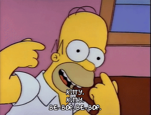 homer simpson episode 10 GIF
