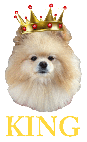 Dog Queen Sticker