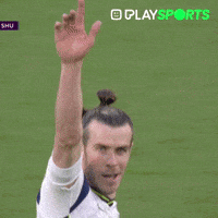 Premier League Celebration GIF by Play Sports