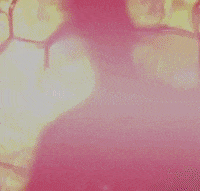 Lyric Video GIF by The Weeknd