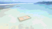 survivorau GIF by Australian Survivor