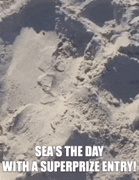 PCHOfficial game fun money win GIF