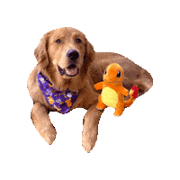 Golden Retriever Halloween Sticker by Geekster Pets