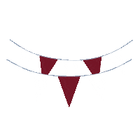 Galway Allirelandfinal Sticker by The GAA - OfficialGAA