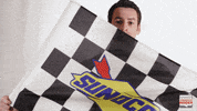indy 500 finish GIF by Paddock Insider