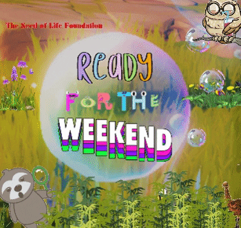 Fun Grow GIF by The Seed of Life Foundation