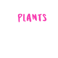 Plant Sticker by tSocial