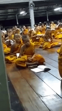 thailand GIF