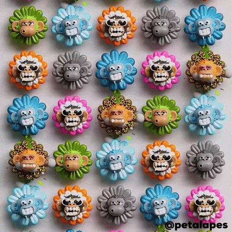 Spider Monkey Flowers GIF by Evan Hilton