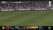Melbourne Stars Celebration GIF by StarsBBL