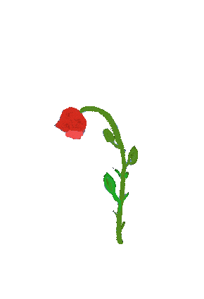 Rose Blooming Sticker by BVK Students Hannover