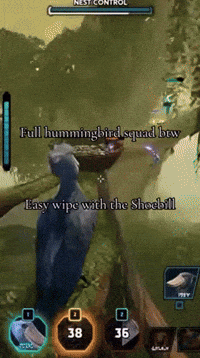 Instagram Shoebill GIF