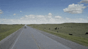 Road Trip Highway GIF by VICE DOES AMERICA