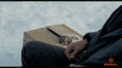 Its Me Cat GIF by Regal