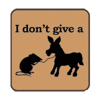 wtf idgaf STICKER by imoji
