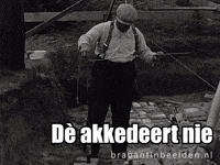 Brabant Klussen GIF by BrabantinBeelden