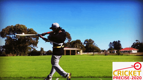 cricket precise GIF