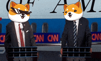Fun Money GIF by Baby Doge Coin