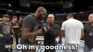 jon jones omg GIF by UFC