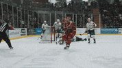 Ice Hockey GIF by Cardiff Devils