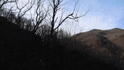 Grading John Deere GIF by JC Property Professionals