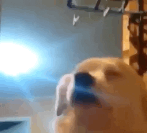 AlanBreeto giphyupload happy dance music GIF