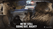 LegalShield party friday lit saturday GIF