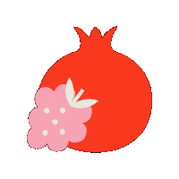 DRINKSUPERPOP fruits granatapfel superpop super pop Sticker