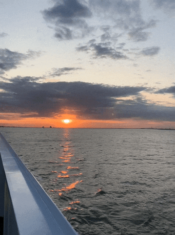 arosacruises giphyupload sun sunset kreuzfahrt GIF