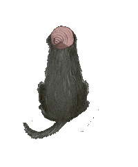 Hund Sticker by Jupitermond Verlag