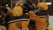 Happy Mighty Ducks GIF by Disney+