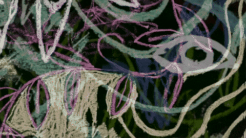 marianthe_loucataris giphygifmaker GIF