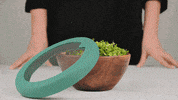 FoodHuggers  GIF