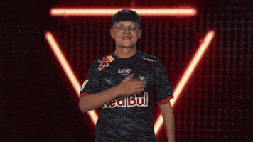 Proud Rb Leipzig GIF by Bundesliga