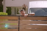 Vpr GIF
