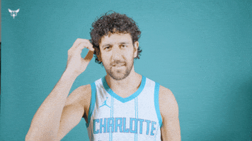 Hive Mentality Vasa Micic GIF by Charlotte Hornets