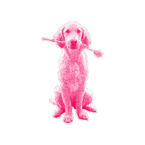 Politik Sticker by NEOS