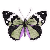 Sdesignworks nature green purple fly Sticker