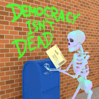 Vote Early Election 2020 GIF by INTO ACTION
