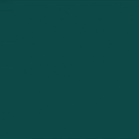 Voting Election 2020 GIF by INTO ACTION