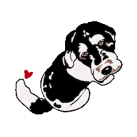 Cockapoo Sticker
