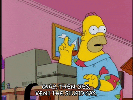 homer simpson GIF