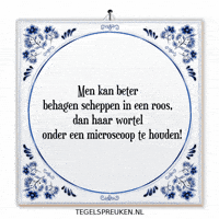 Nl Verandering GIF by Tegelspreuken.nl