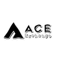 Nft Bitcoin Sticker by ACE Exchange