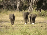 Earth Science Education GIF by DIIMSA Stock